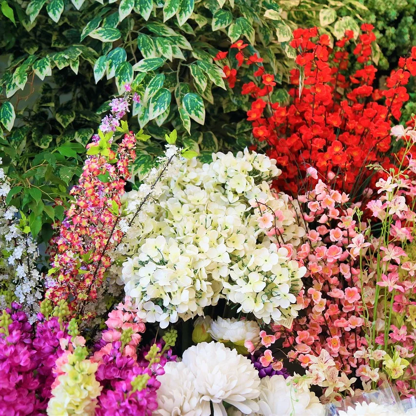 Variedad de flores de colores