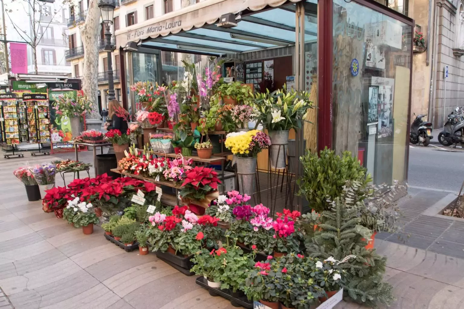 La Flor de la Rambla