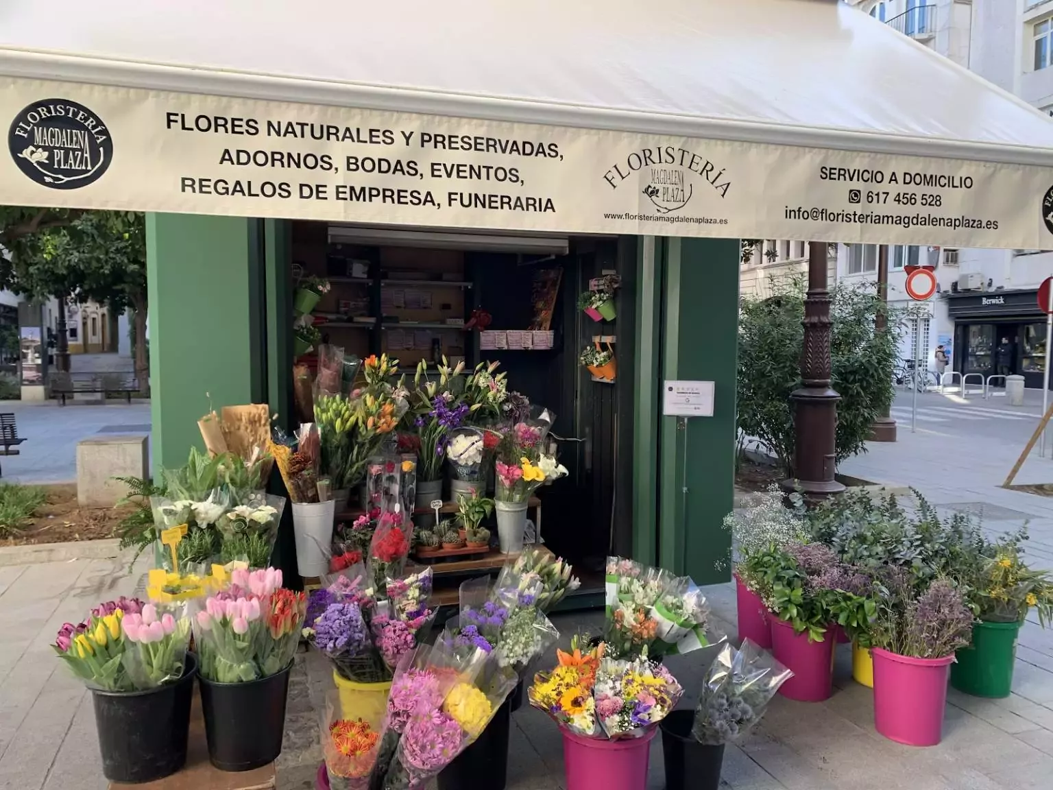 Floristería Magdalena Plaza