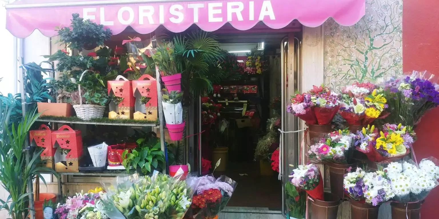 Floristería May