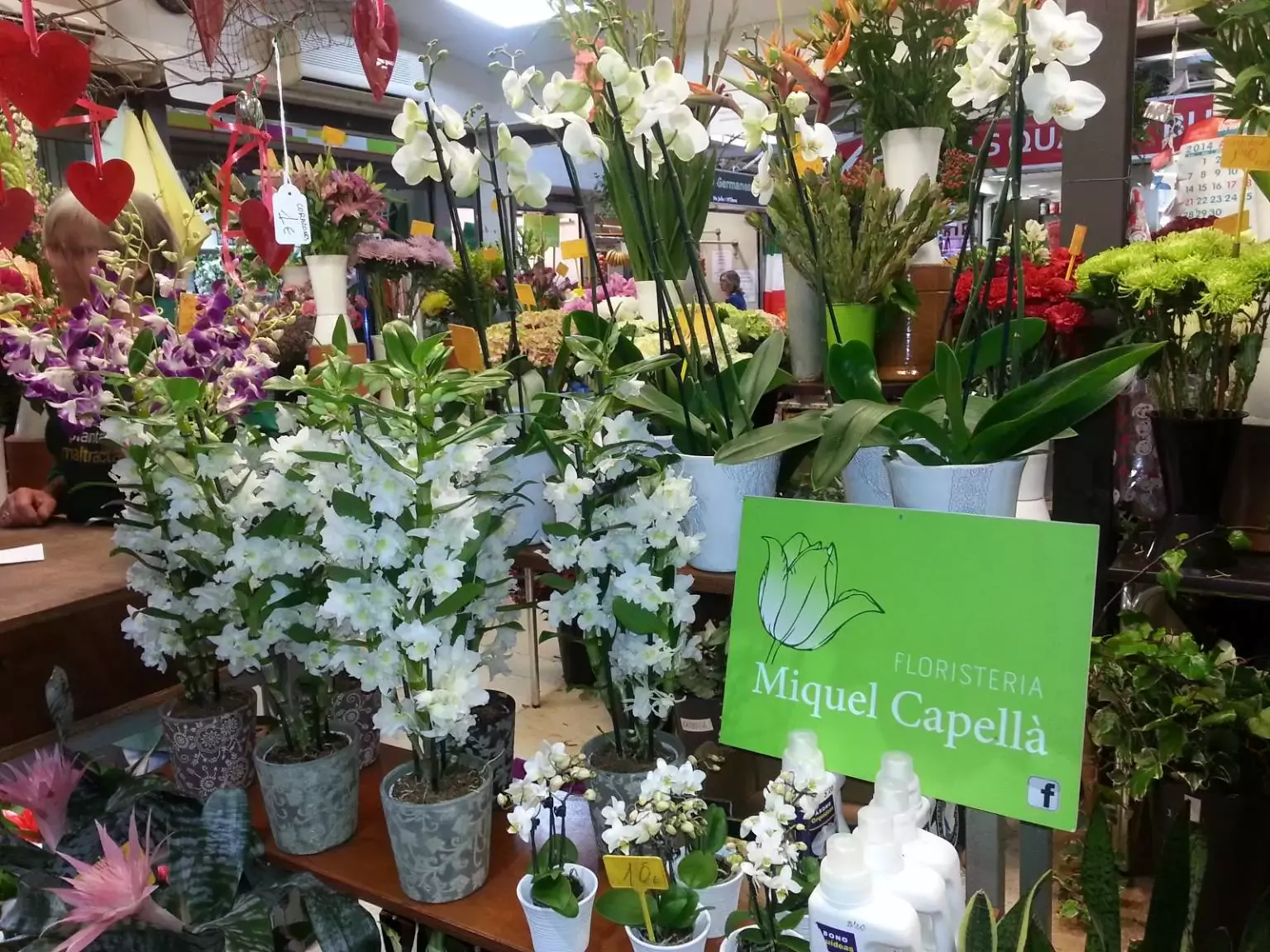 Floristería Miquel Capellà