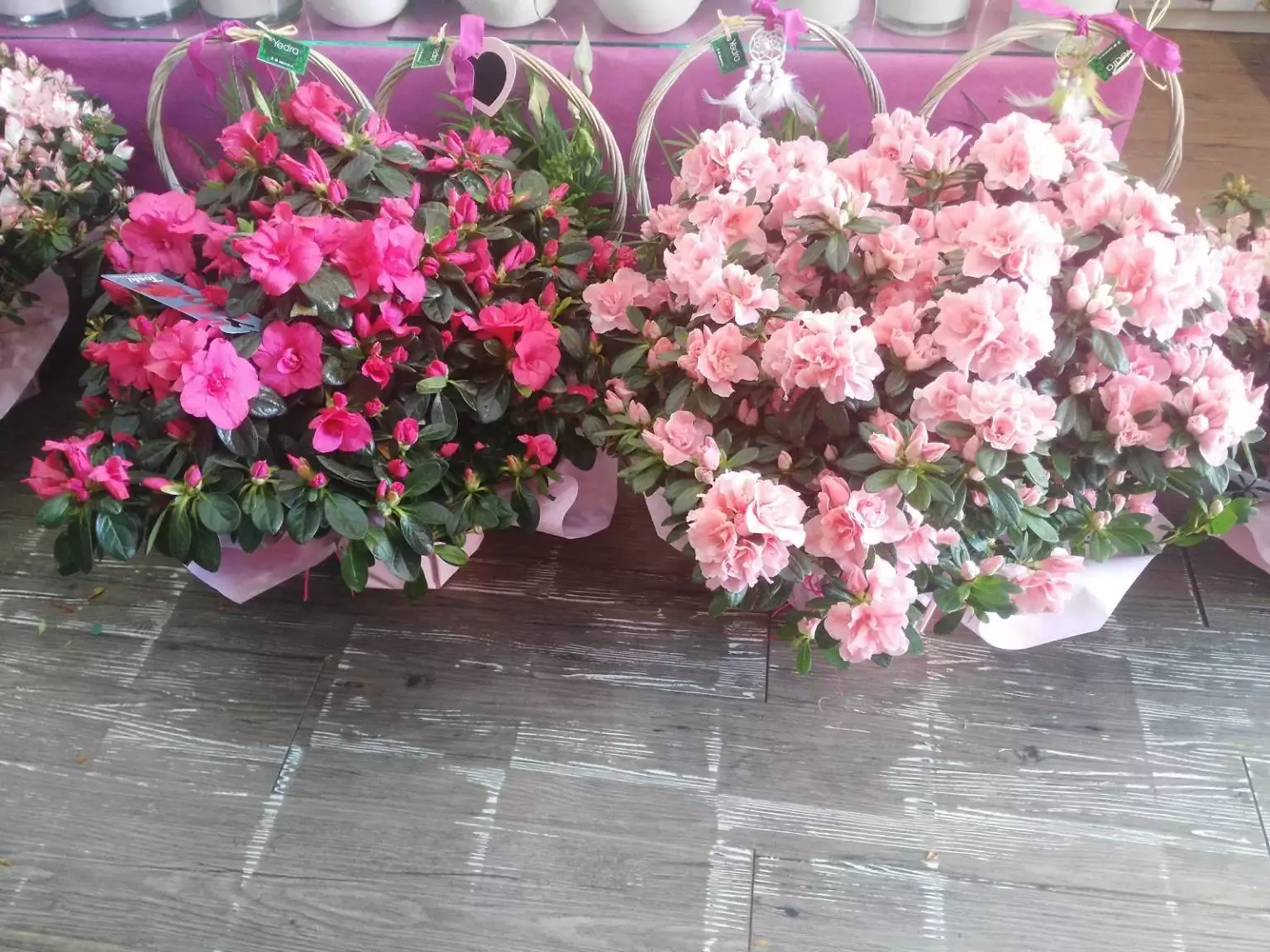 Floristería Yedra