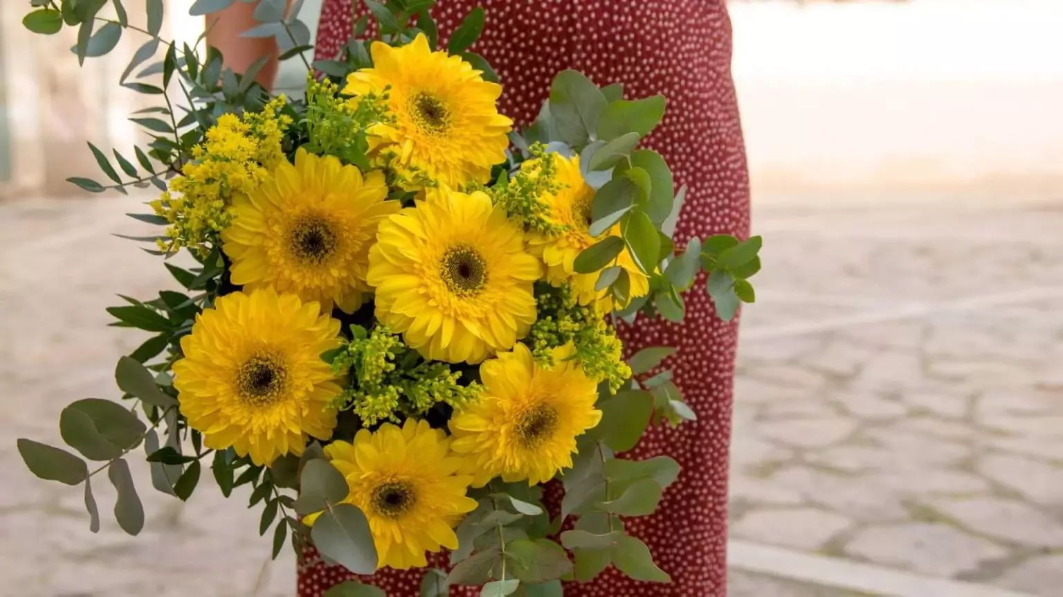 Paquita Flors i Plantes