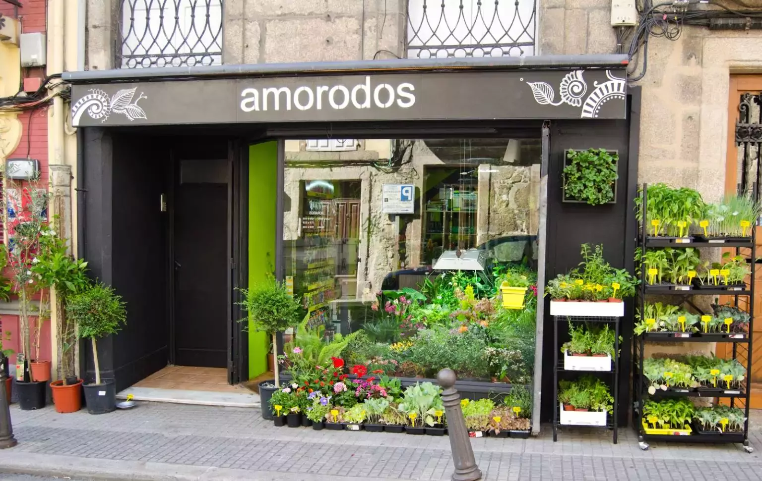 Amorodos