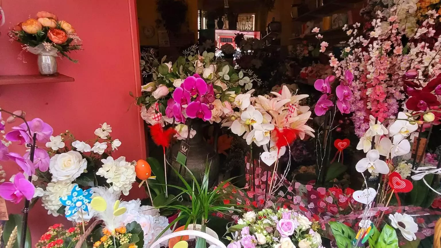 Flores y plantas El Acebo