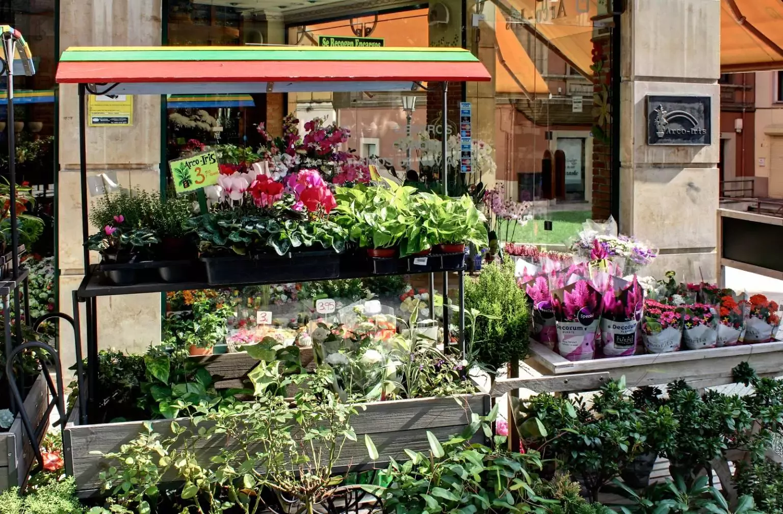 Floristería Arco Iris