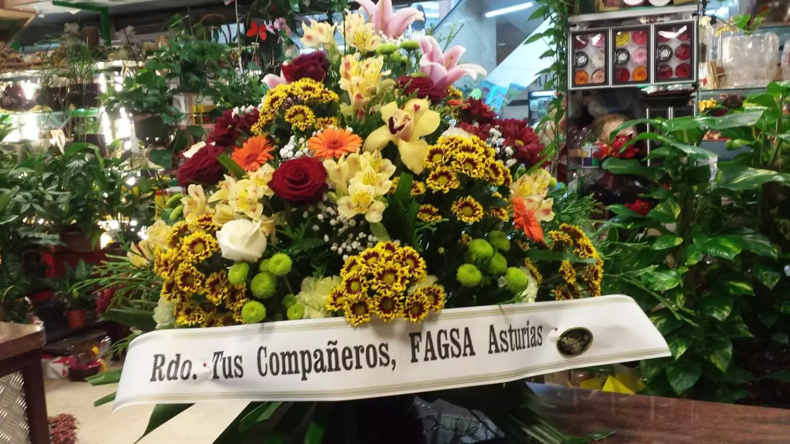 Floristerías Ana Rodríguez