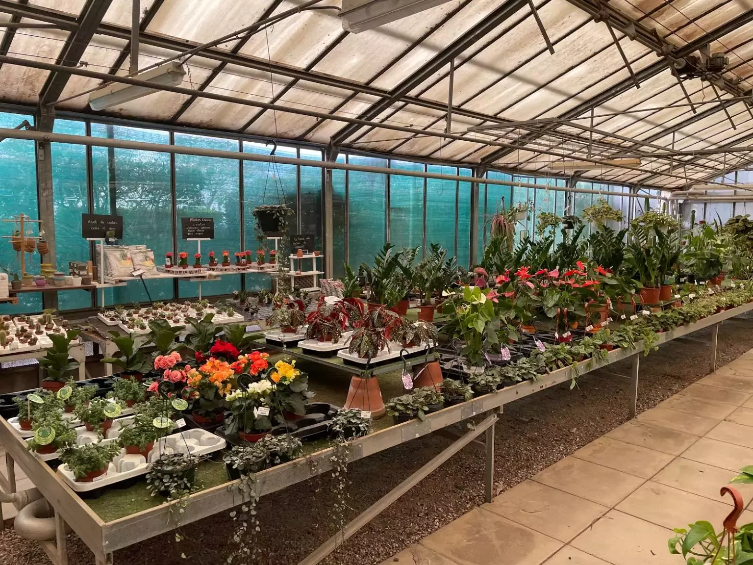 Centro de Jardinería i Floristería Argemí