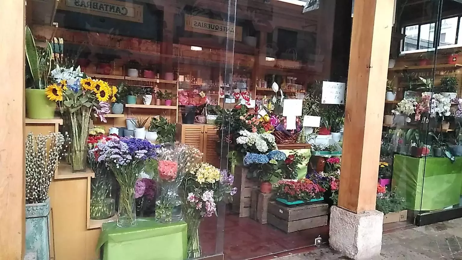 Flores y Plantas José Pérez