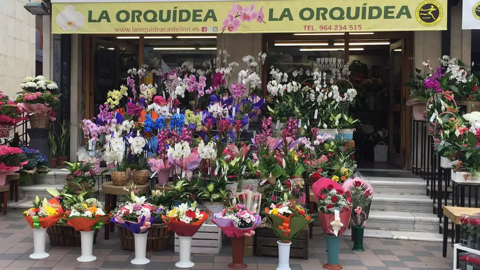 Floristería La Orquídea Castellón