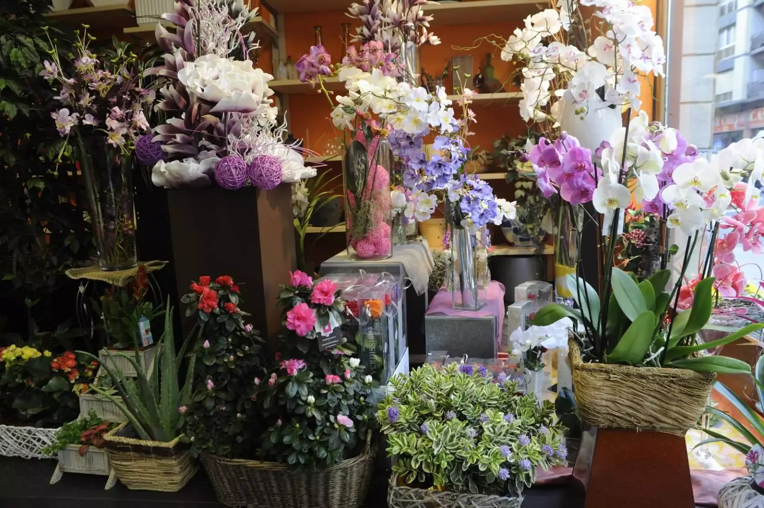 Floristería Pothos