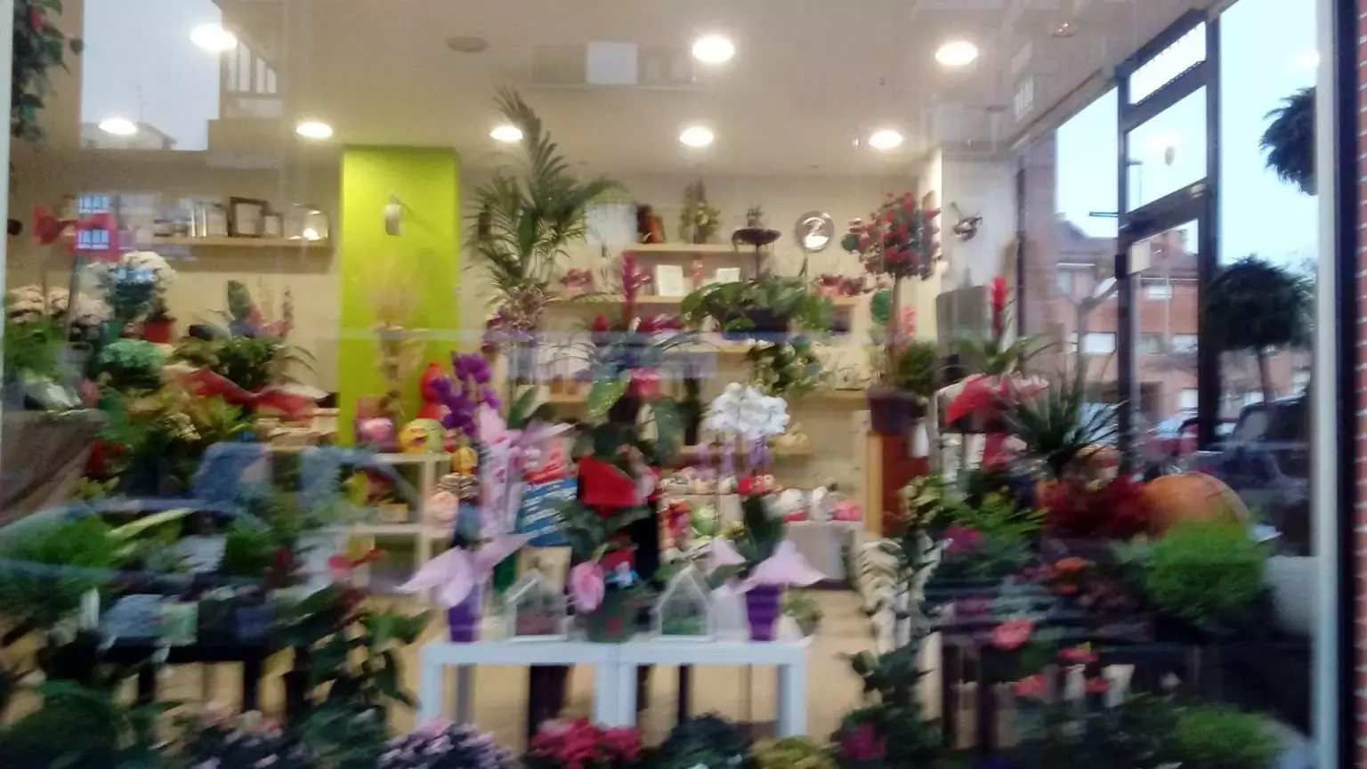 Floristería JUAN