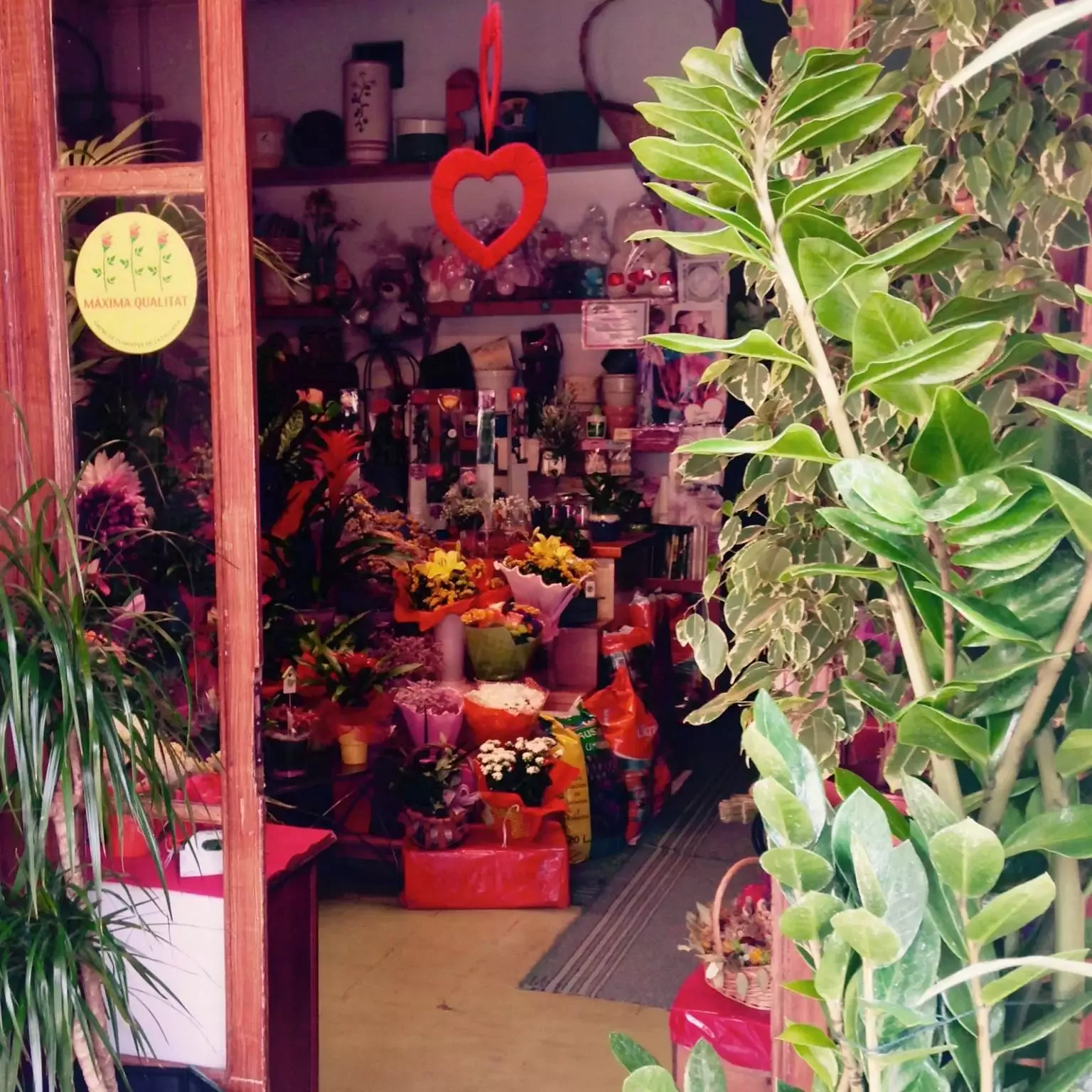 Floristería Plaça Sant Ramon