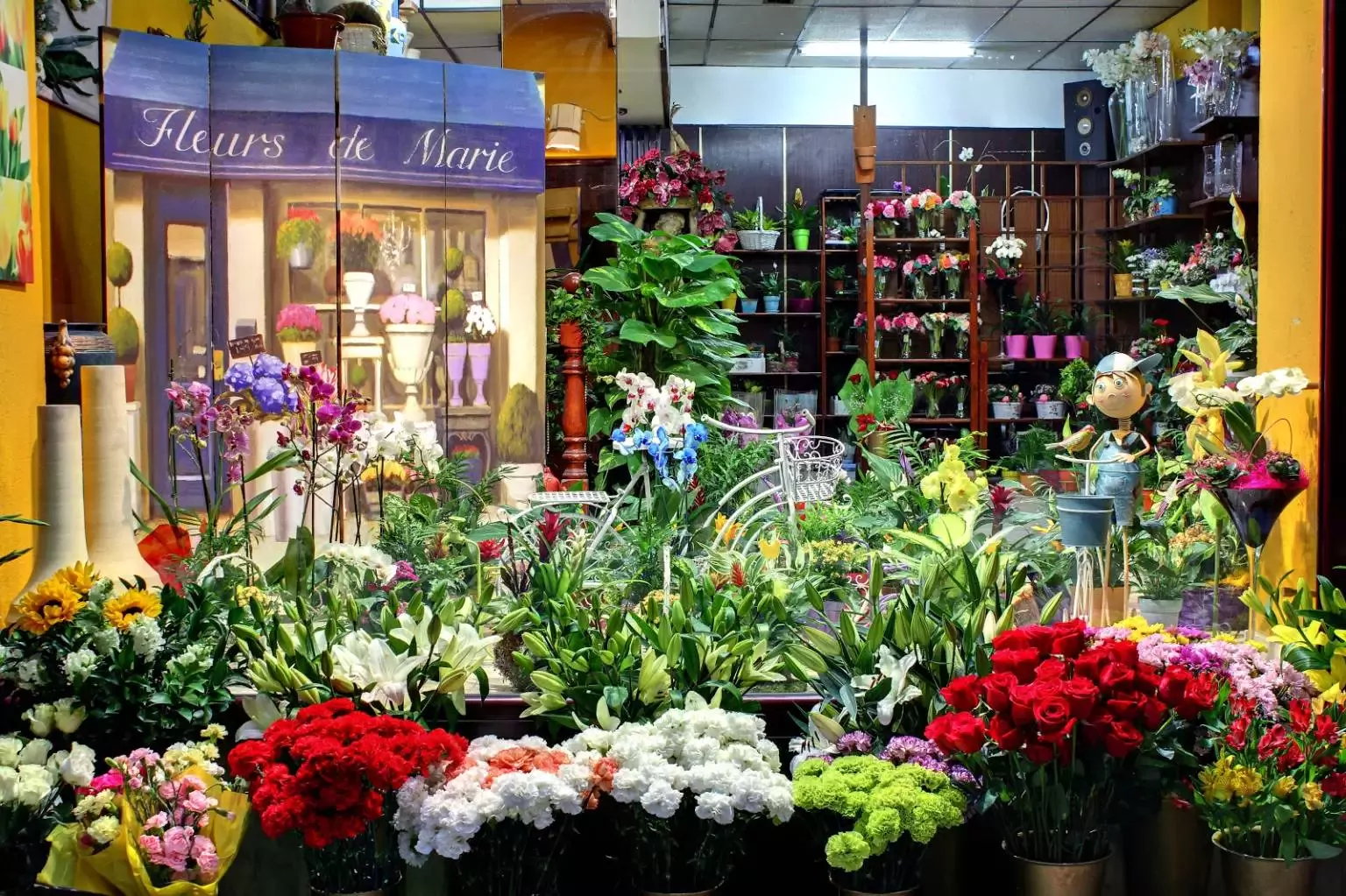 Floristería Arco Iris Sama