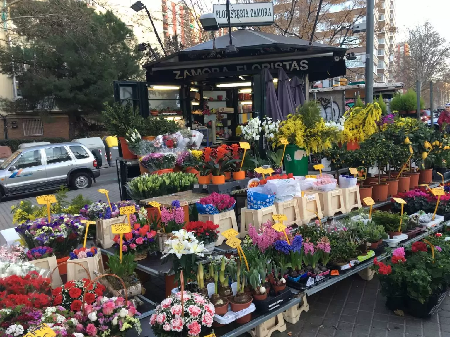 Zamora Floristas