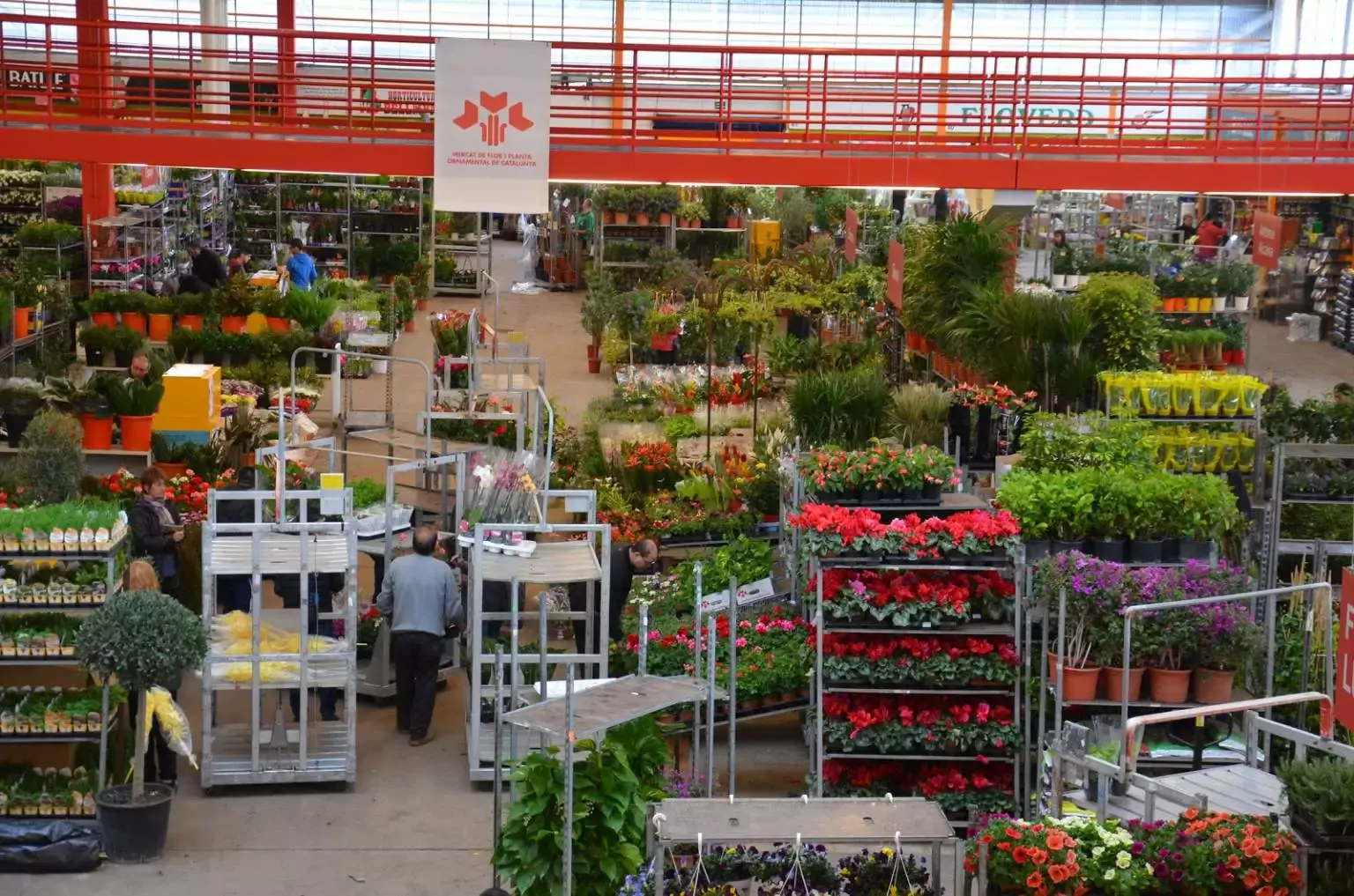 Mercat de Flor i Planta Ornamental de Catalunya