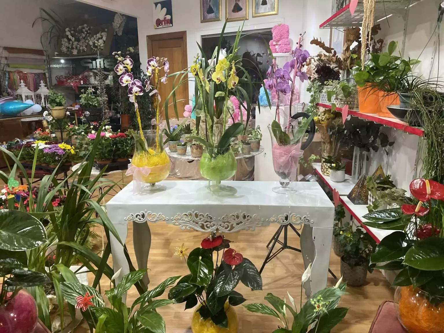 Floristería Manuela Berja, Valoración y Reseñas - Av. Manuel Salmerón