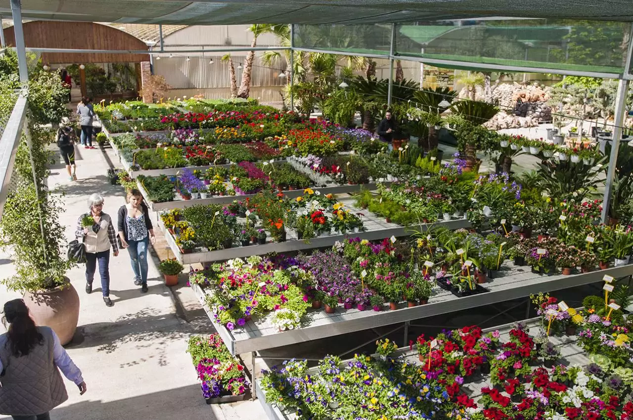 Centro de Jardinería Flores de Patiño