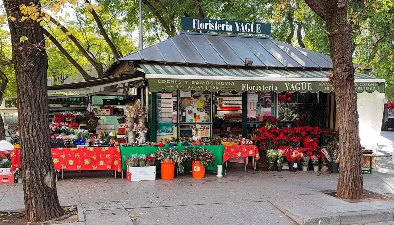 FLORISTERIA YAGÜE