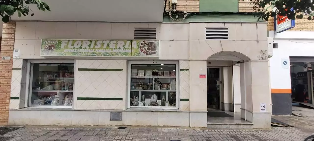 Floristería Virgen del Rocio