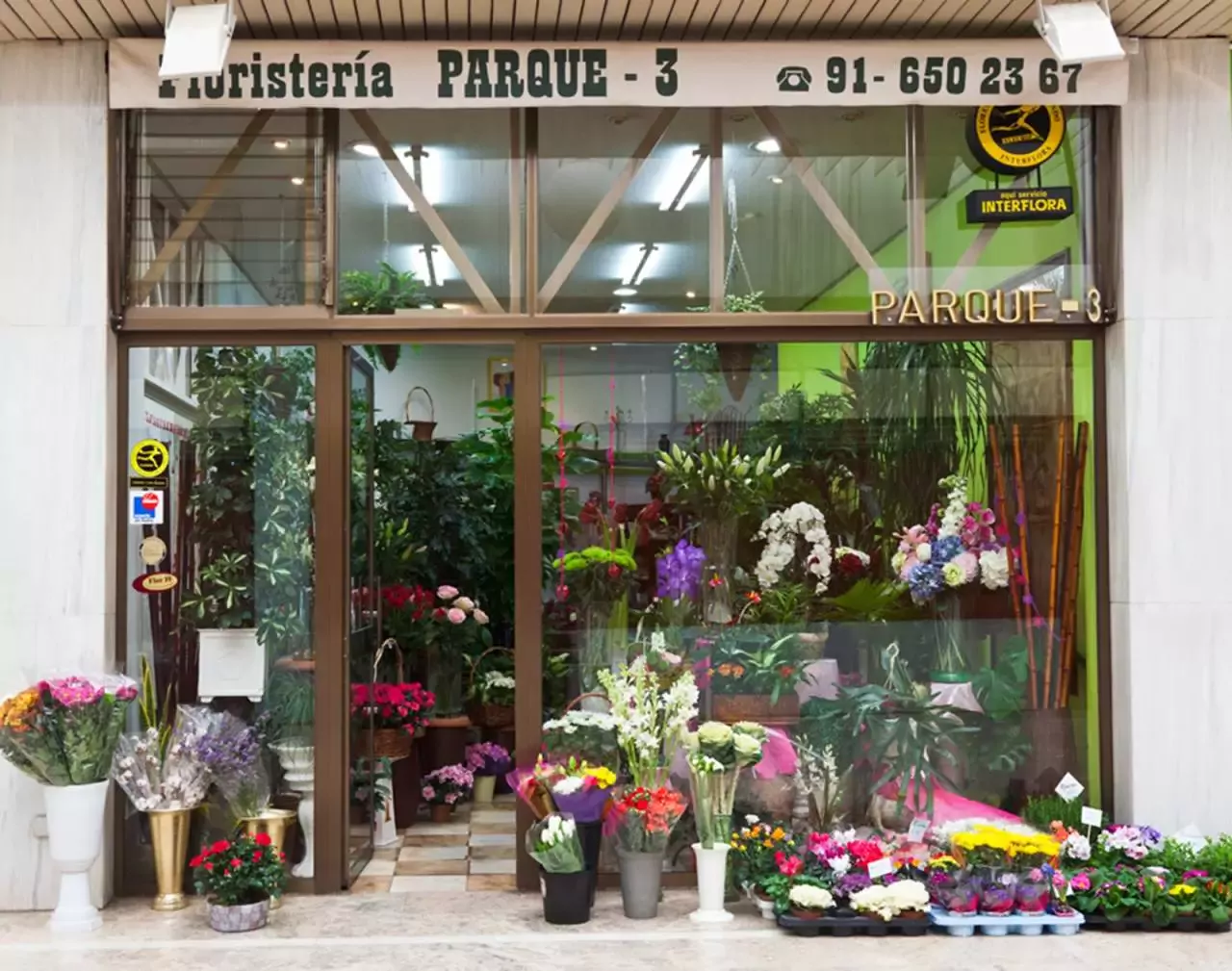 Floristería Parque 3