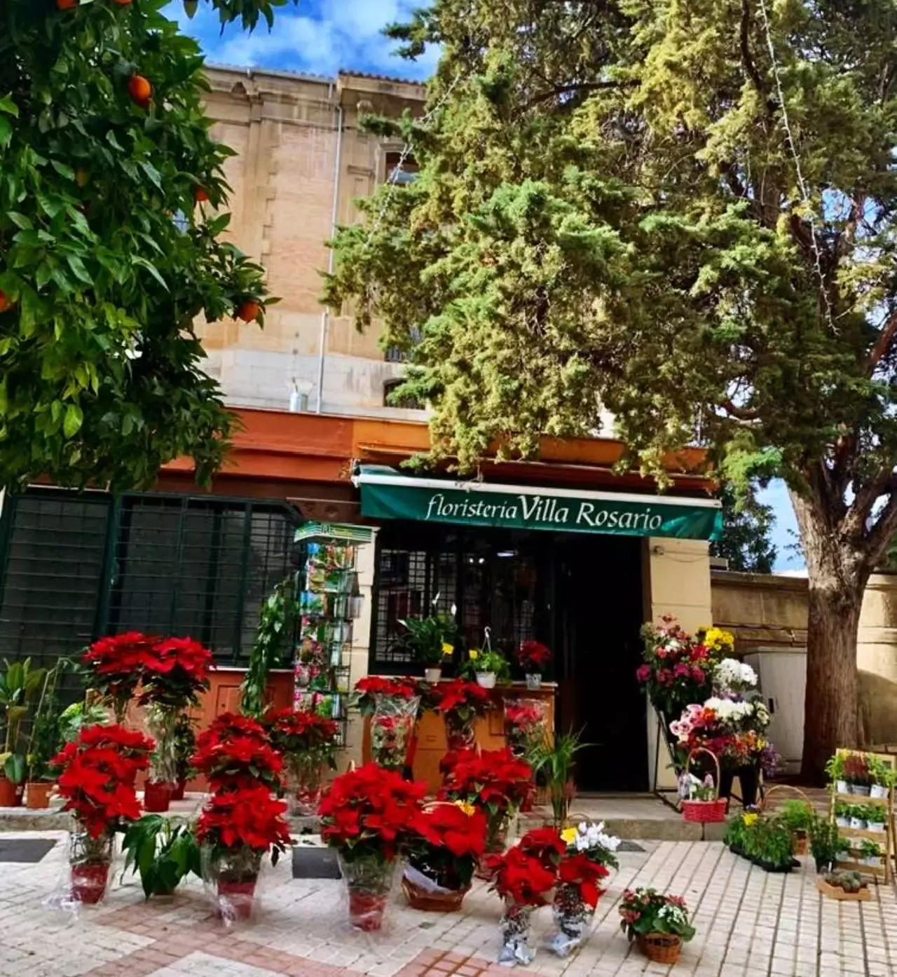 Floristería Villa Rosario