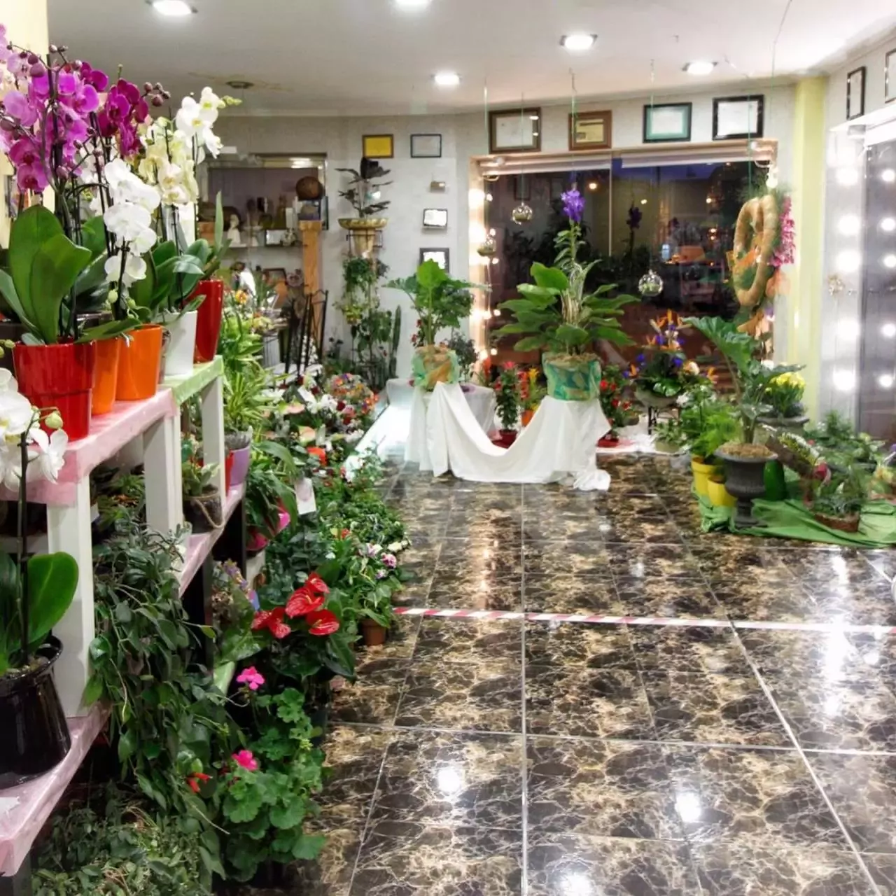 Floristería Pilar