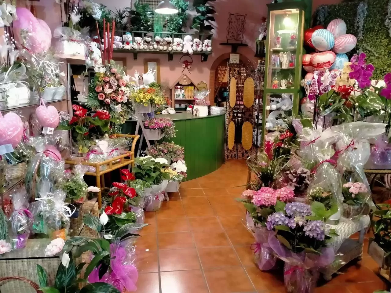 Floristería La Jara V Quinto Centenario