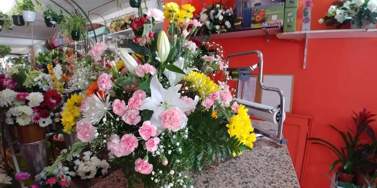 Floristería 