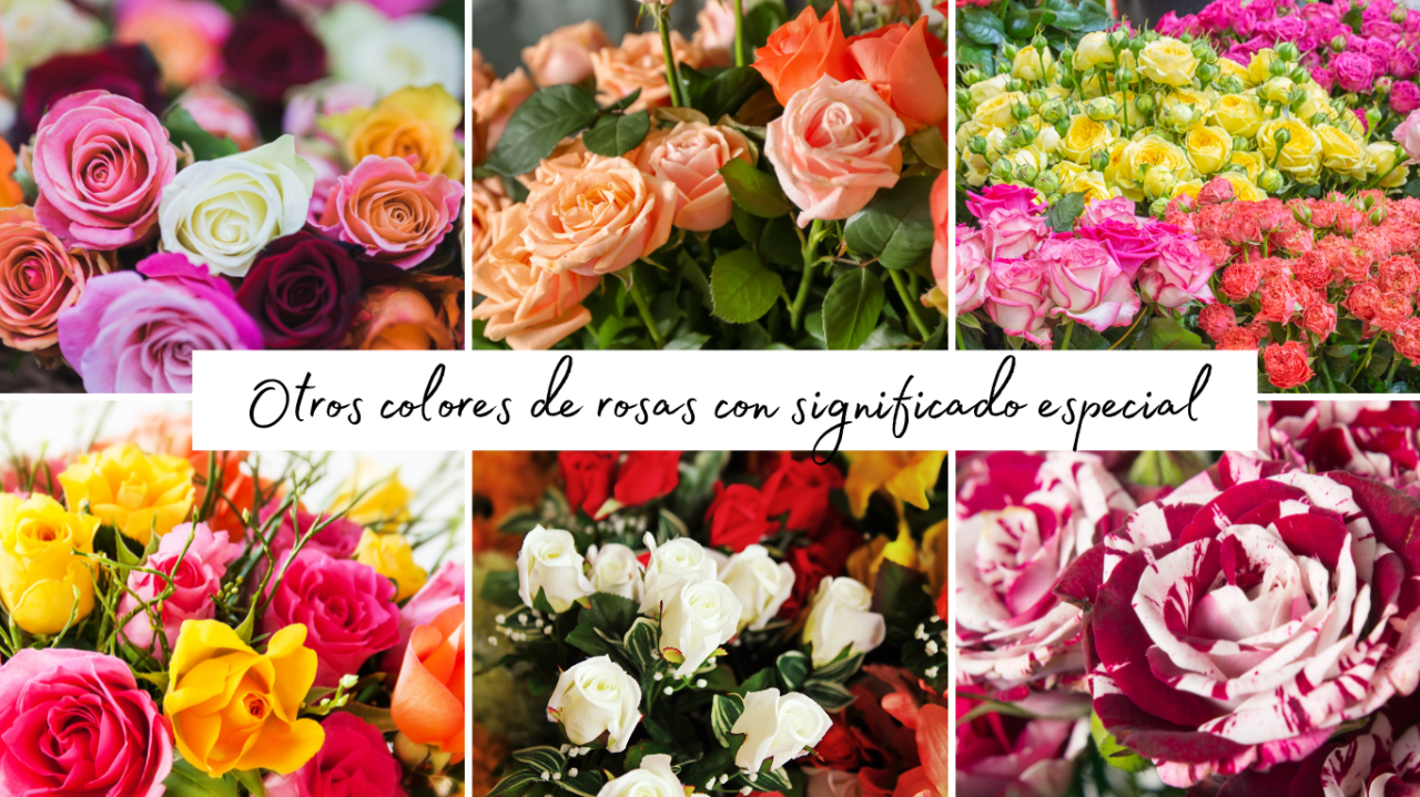 Otras Rosas Con Significado Especial