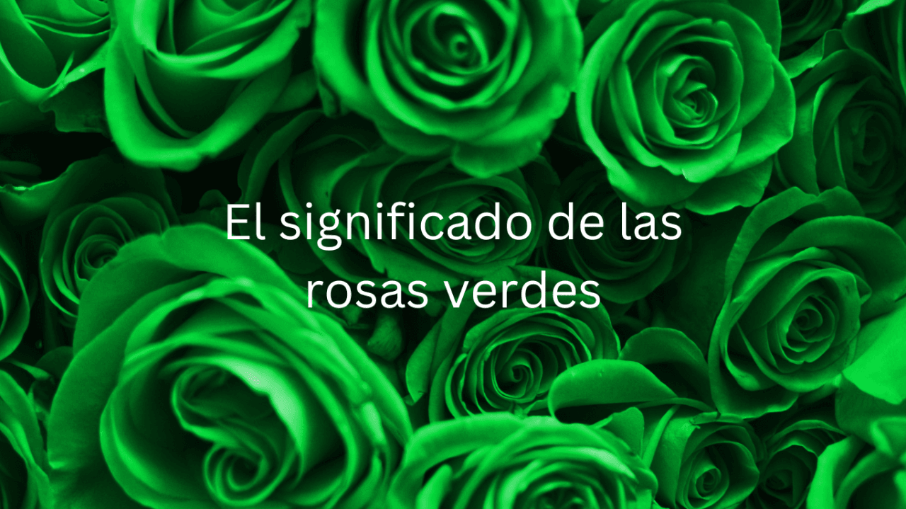 Rosa Verde Significado