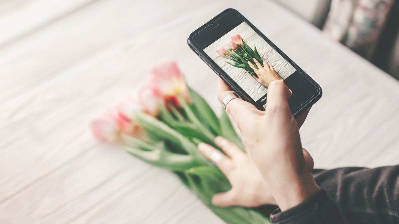 Cómo aumentar las ventas de tu floristería con Instagram