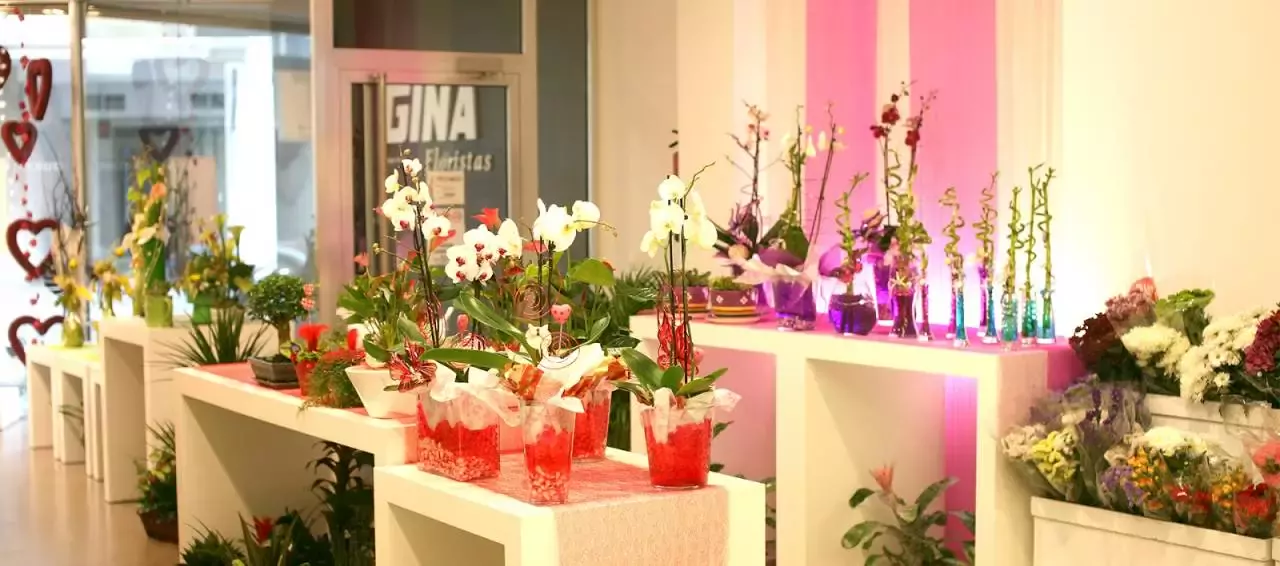 Gina Floristas