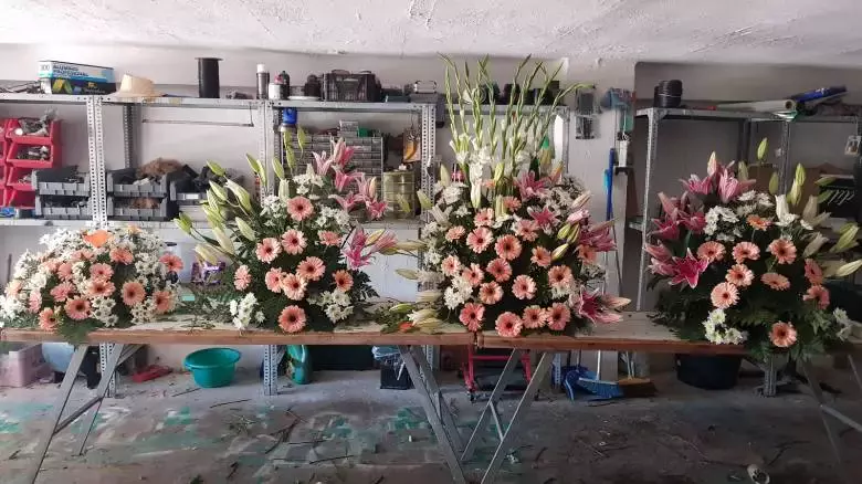 Flores Conchin - C. Santo Domingo de Guzmán