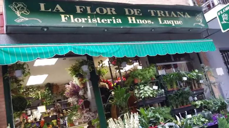 La Flor de Triana ...Hnos Luque - C. Peñaflor