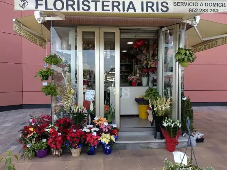 Floristería Iris - Kiosco entrada principal. Centro Comercial Los Patios