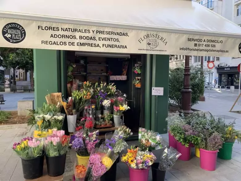 Floristería Magdalena Plaza - Plaza de la Magdalena