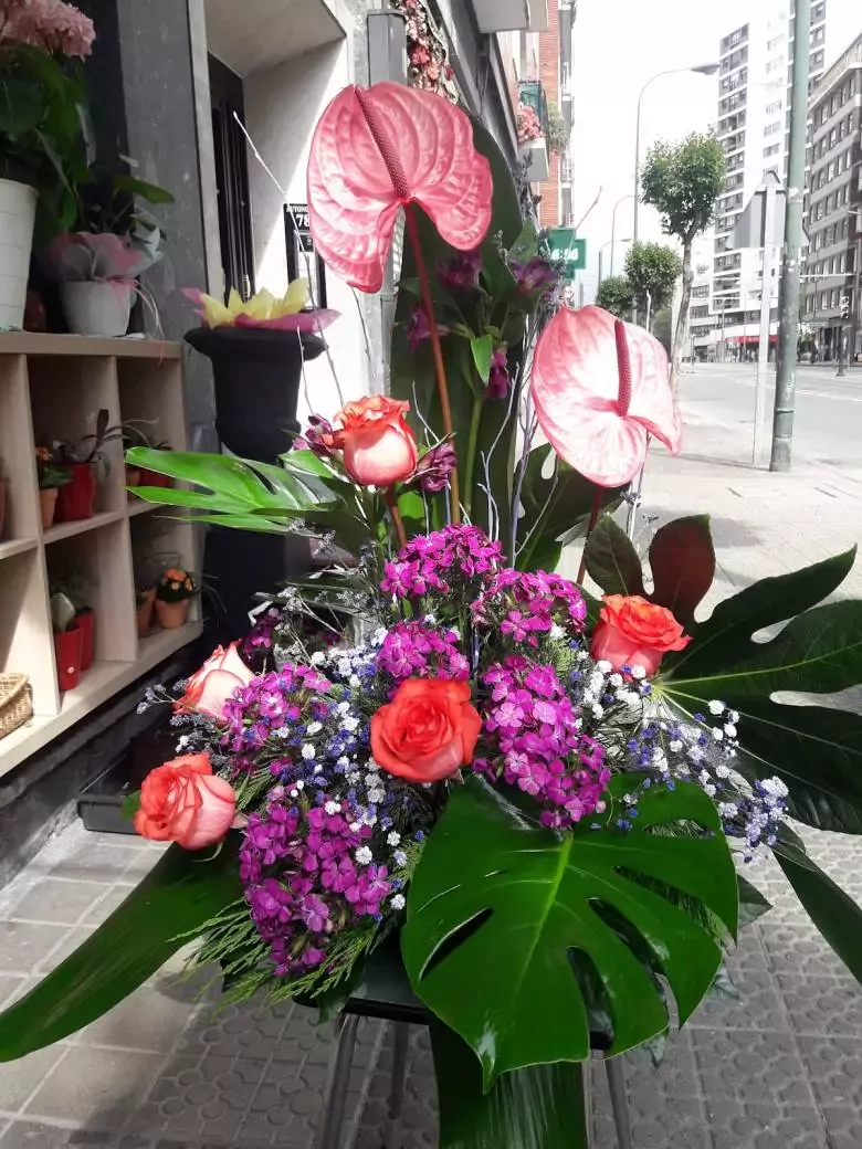 Floristería Alhelí