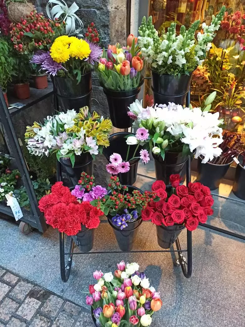 Semillas Plantas y Floristería Mikel Zuazua