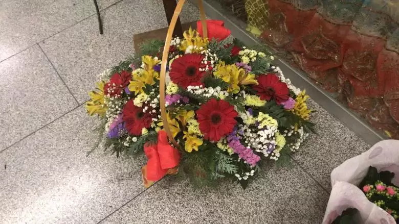 Floraría Liken - Hospital Alvaro Cunqueiro