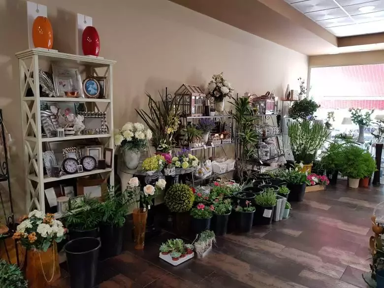 Floristería Ángela - Av. de Libia