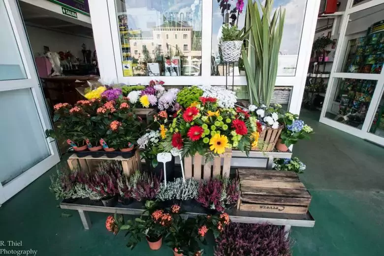 Floristería Bottanico - Av de Gijón