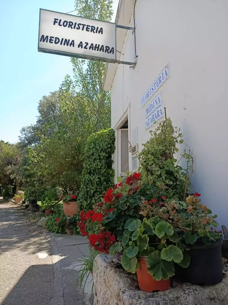 Floristería Medina Azahara - Cam. Viejo de Simancas