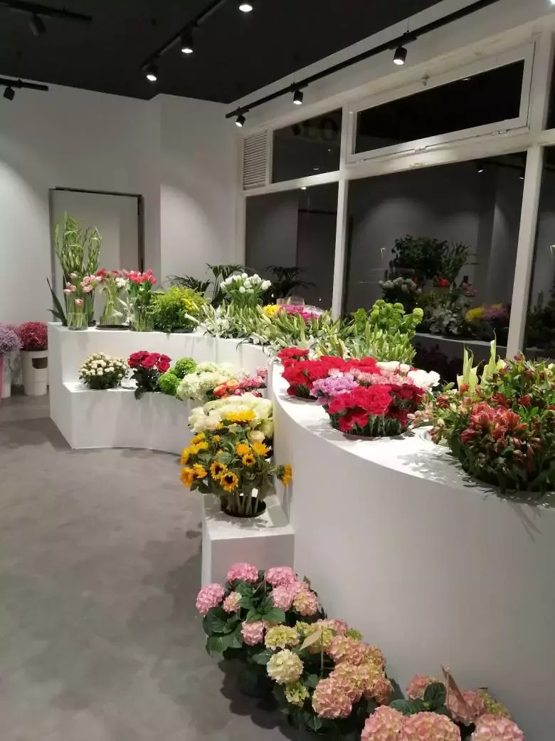 Floristería Calo (A Coruña) - Rúa Orillamar