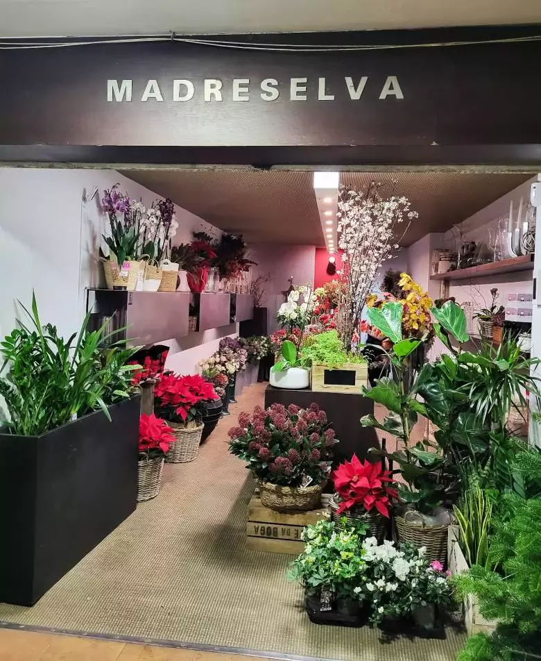 Madreselva Flores - Rúa Federico Tapia