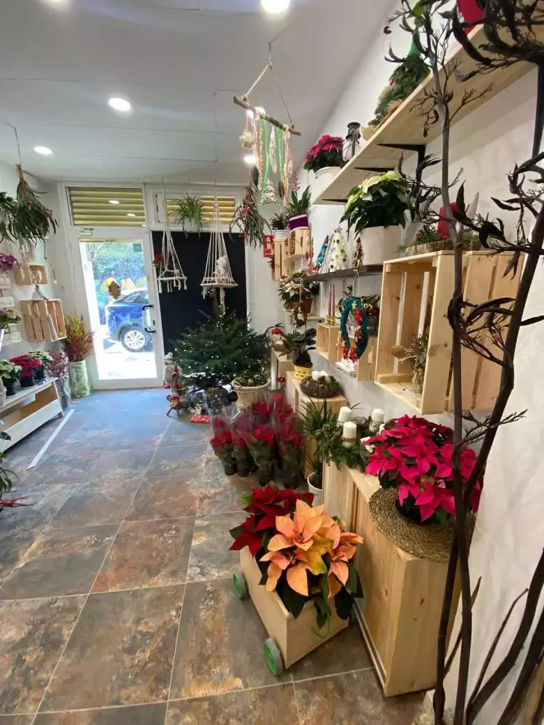 La Bonica Floristería - Avinguda de Morera