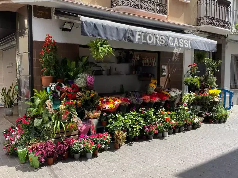 CASSI Flores y Plantas - C. de Lleó