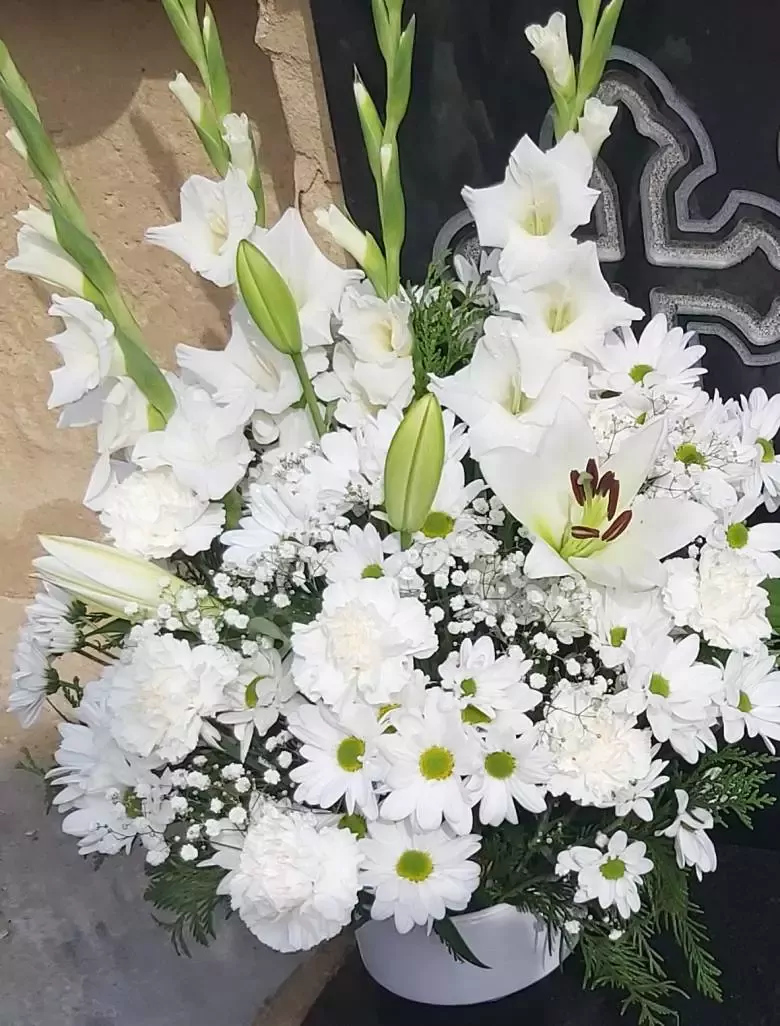 Flores Magda