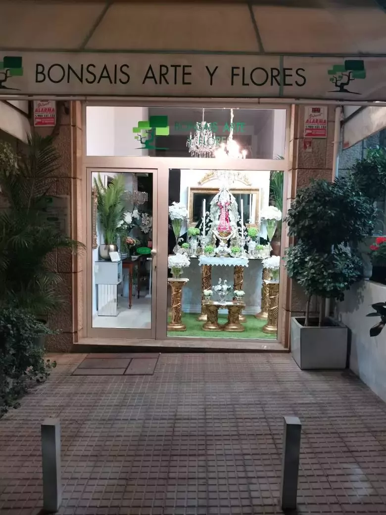 Bonsais Arte y Flores - C. Méndez Núñez