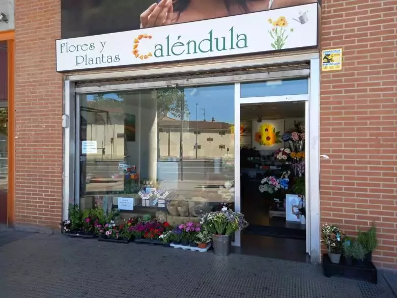 Floristería Calendula - Av de Villava